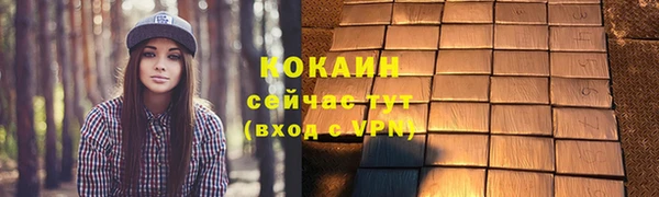 мдпв Семилуки