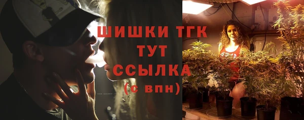 мдпв Семилуки