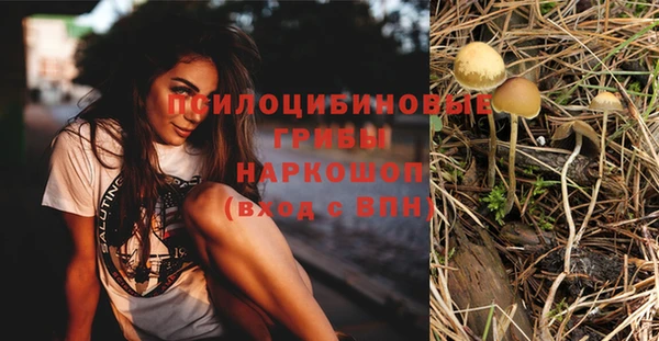мдпв Семилуки