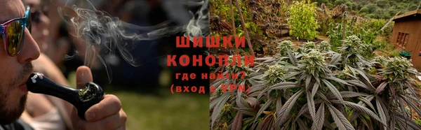 мдпв Семилуки