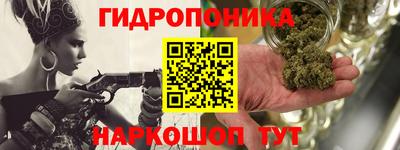 шишки Балахна