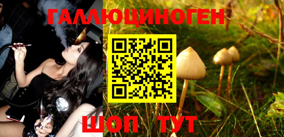 Галлюциногенные грибы Magic Shrooms Тулун