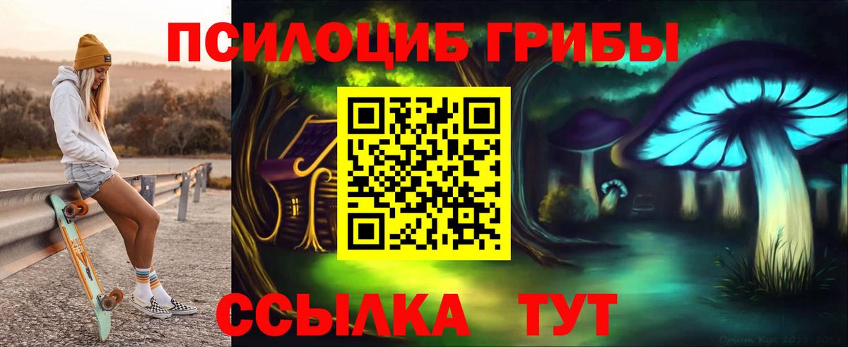 Тулун  Псилоцибиновые грибы Psilocybe  Вход с VPN 