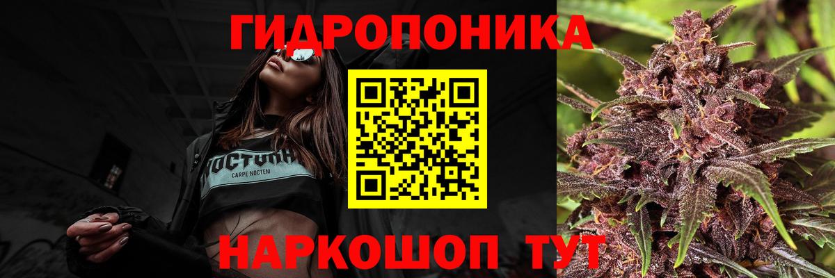 Бошки Шишки планчик  Конопля White Widow  Марихуана White Widow  Тулун 