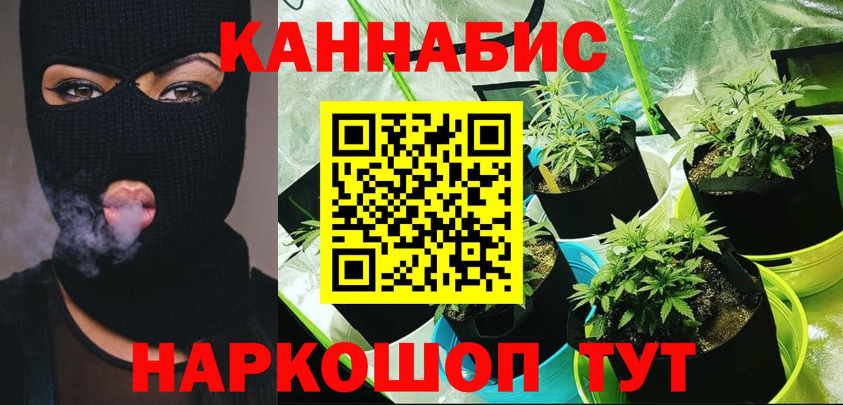 Бошки марихуана гибрид  Вход с VPN  Канабис тримм  Тулун  Бошки Шишки марихуана 